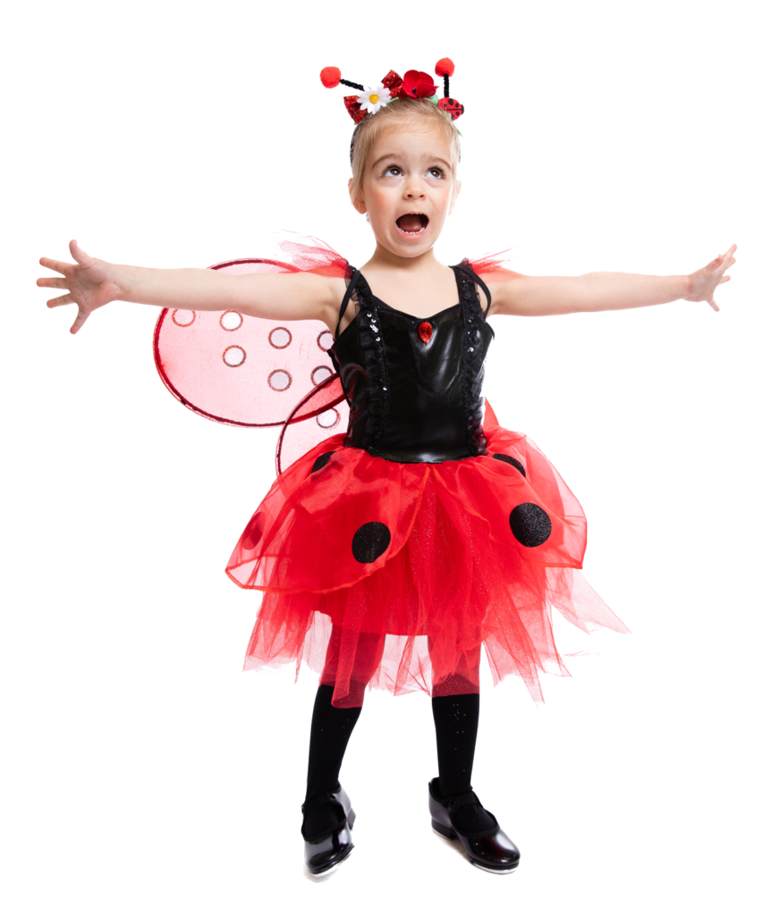 ladybug